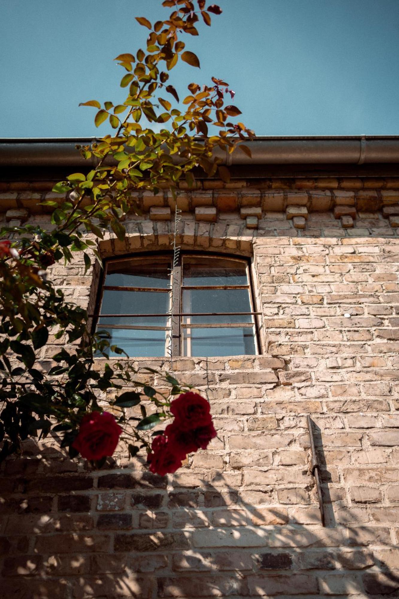 Thomashof Klein-Mutz Apartment Zehdenick Exterior photo